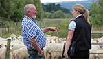 Farmer talking to agricommerce specialist with sheep behind in a paddock