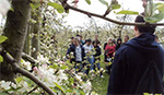 AgriScience students examining fruit trees in blossom