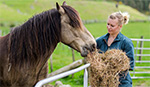 Vet student feeding horse