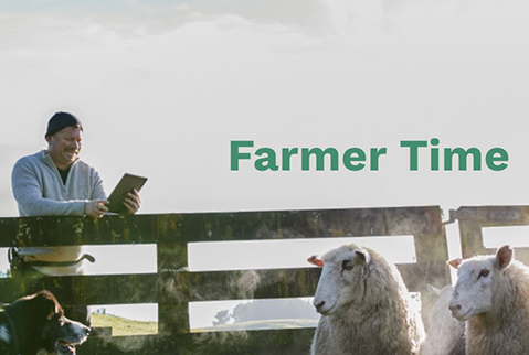 Farmer time  - man with sheep