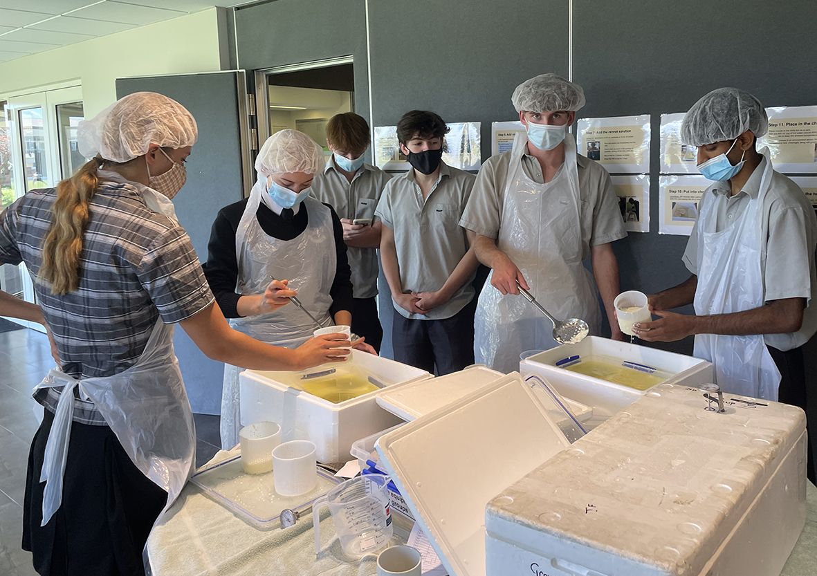 Cheese making in Agribusiness